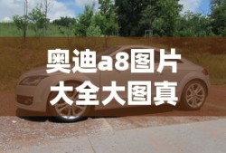 奥迪a8图片大全大图真实