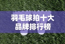 羽毛球拍十大品牌排行榜