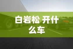 全民挂机机器人