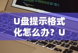 U盘提示格式化怎么办？U盘提示格式化解决方法详解