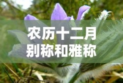 庆余年2官宣上映时间表
