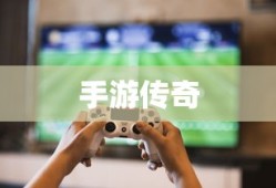 非诚勿扰相亲网站报名