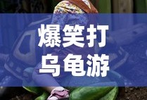 爆笑打乌龟游戏