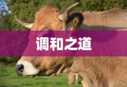 平凡的世界，人生的坚韧与希望