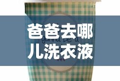 爸爸去哪儿洗衣液多少钱一瓶