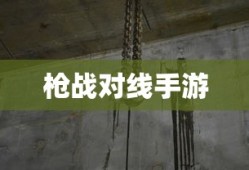 快看网页版登录入口