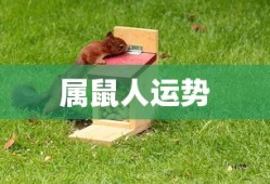 菠萝菠萝蜜视频免费观看视频