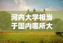 河内大学相当于国内哪所大学