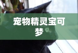 宠物精灵宝可梦