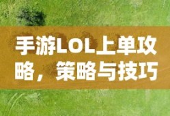 4399皇后成长计划2h5