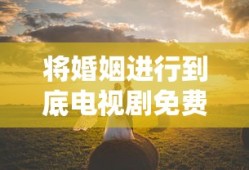 将婚姻进行到底电视剧免费全集观看
