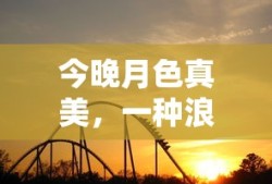 电视剧全部免费观看
