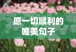 愿一切顺利，岁月静好，生活如诗。