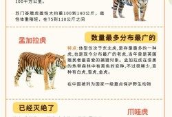 IMToken冷钱包安全性深度解析