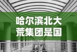 哈尔滨北大荒集团是国企吗