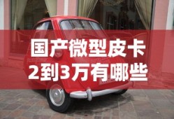 国产微型皮卡2到3万有哪些品牌