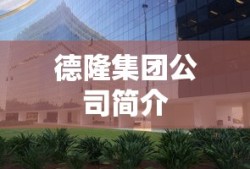 德隆集团公司简介