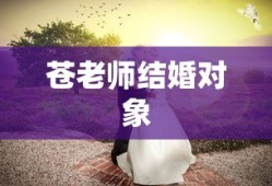 苍老师结婚对象
