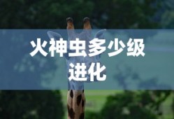火神虫多少级进化