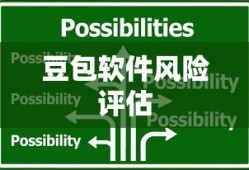 豆包软件的风险评估与应对策略探讨