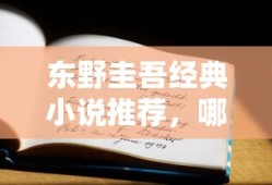 东野圭吾经典小说推荐，值得一读的佳作有哪些？