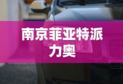 南京菲亚特派力奥