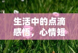生活中的点滴心情短语感悟