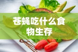 苍蝇吃什么食物生存