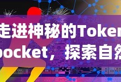 走进神秘的Tokenpocket，探索自然之美