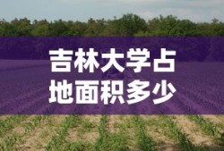 吉林大学占地面积多少亩