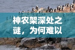 锻冶屋英雄谭金库攻略绷带怎么带