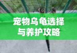 dota自走棋神族羁绊