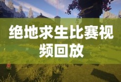 绝地求生比赛视频回放