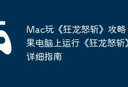 Mac玩《狂龙怒斩》攻略，苹果电脑上运行《狂龙怒斩》详细指南