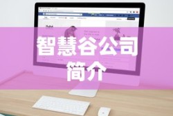 智慧谷公司简介