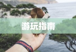 大蛇无双2终极版