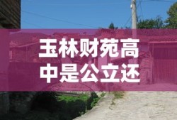 玉林财苑高中是公立还是私立