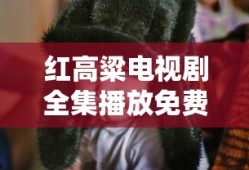 红高粱电视剧全集播放免费观看