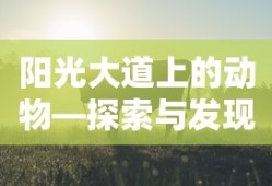 阳光大道上的动物，探索与发现