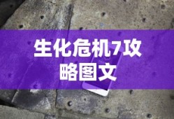 撸友派