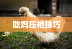 吃鸡压枪技巧