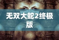 无双大蛇2终极版