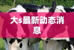 大s最新动态消息