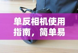 阴阳师达摩怎么用最划算
