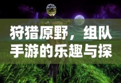 狩猎原野，组队手游的探险与乐趣