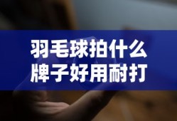 龙之刃贴吧怎么点粽子