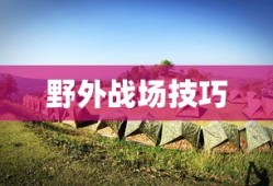 DNF手游金币投资与囤货策略深度解析