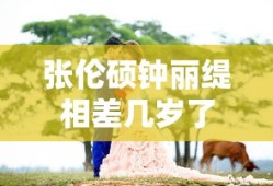 张伦硕钟丽缇相差几岁了