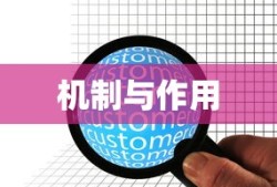 王国纪元下载官网