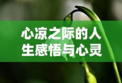 光明大陆职业技能介绍